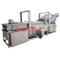 Apple washer machine fruit and vegetable washing equipment