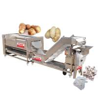 Root Vegetable Peeling Cutting Fruit Cleaning Equipment Conveyor Belt Vegetable Processing Machinery Production Line